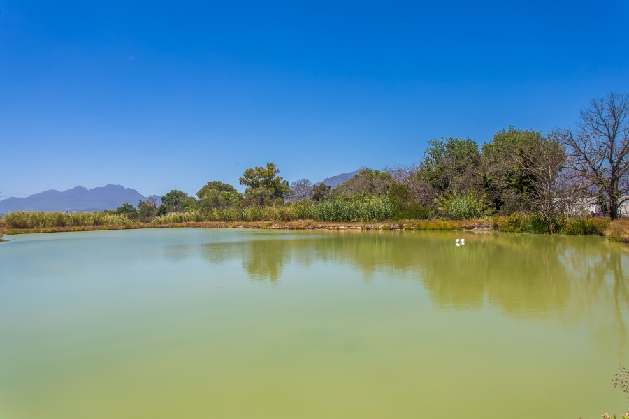 Commercial Property for Sale in Lyndoch Western Cape